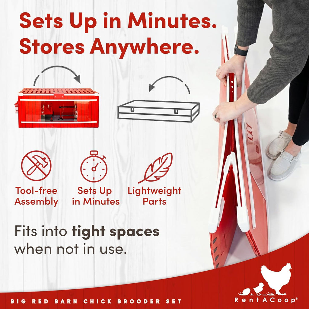 RentACoop Big Red Barn Chick Brooder Set With 12 x 12 Heating Plate, Feeders And Waterers