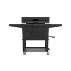 28-Inch 2-Burner Griddle With Electric Air Fryer And Hood