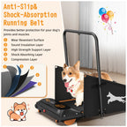 Dog Treadmill For Small And Medium Dogs - W215P235106