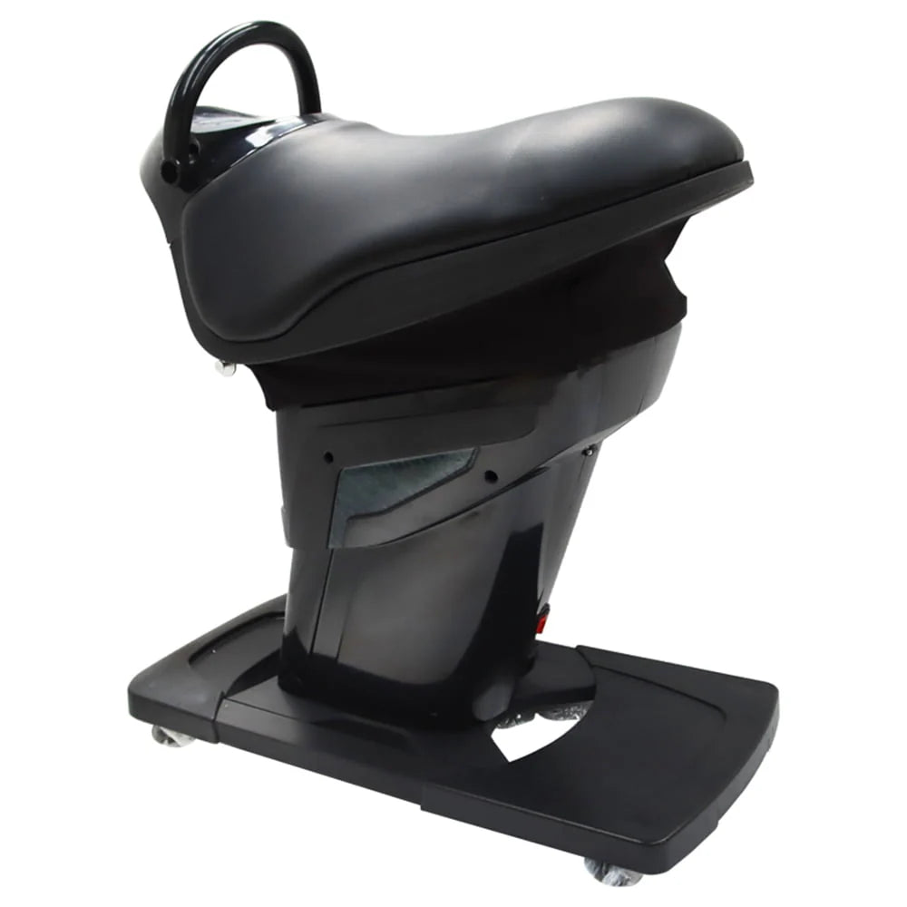 EQCOTWEA Electric Horse Riding Machine, 200w, 4 Modes, Black