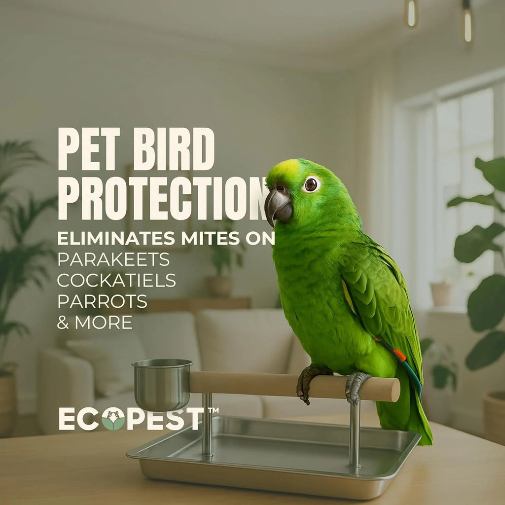 EcoPest Mite Spray Natural Killer For Dust, Bird, Spider, Scabies And Other Mites - 1 Gallon