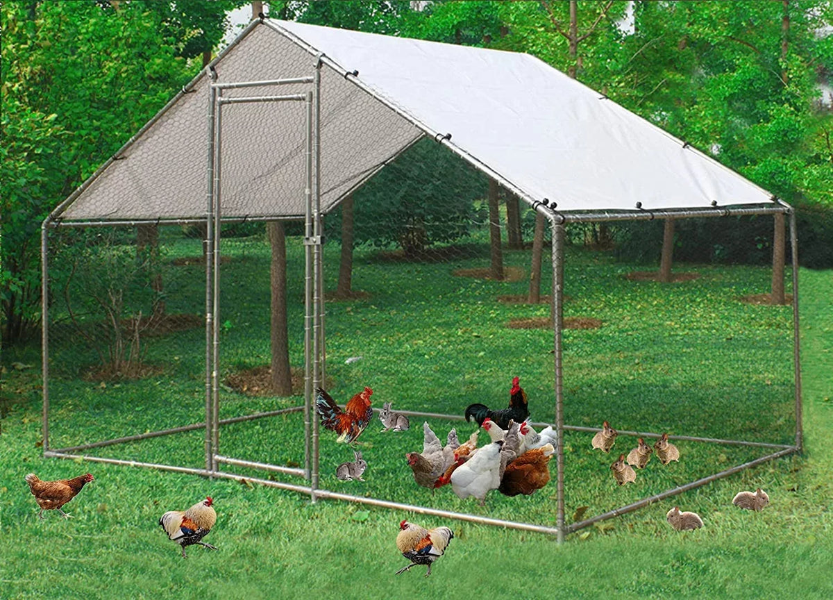 Metal Walk-In Chicken Run Cage With Cover, 10'L X 6.6'W X 6.56'H