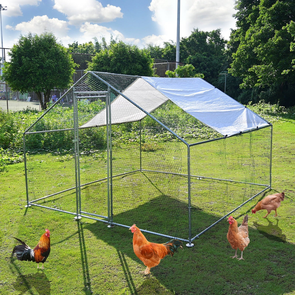 Caulitar Metal Chicken House/Pen 10ft x 10ft With Waterproof Cover - For 6/10 Chickens
