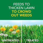 Scotts Turf Builder Weed & Feed5 Lawn Fertilizer And Weed Killer - 45.26 lb