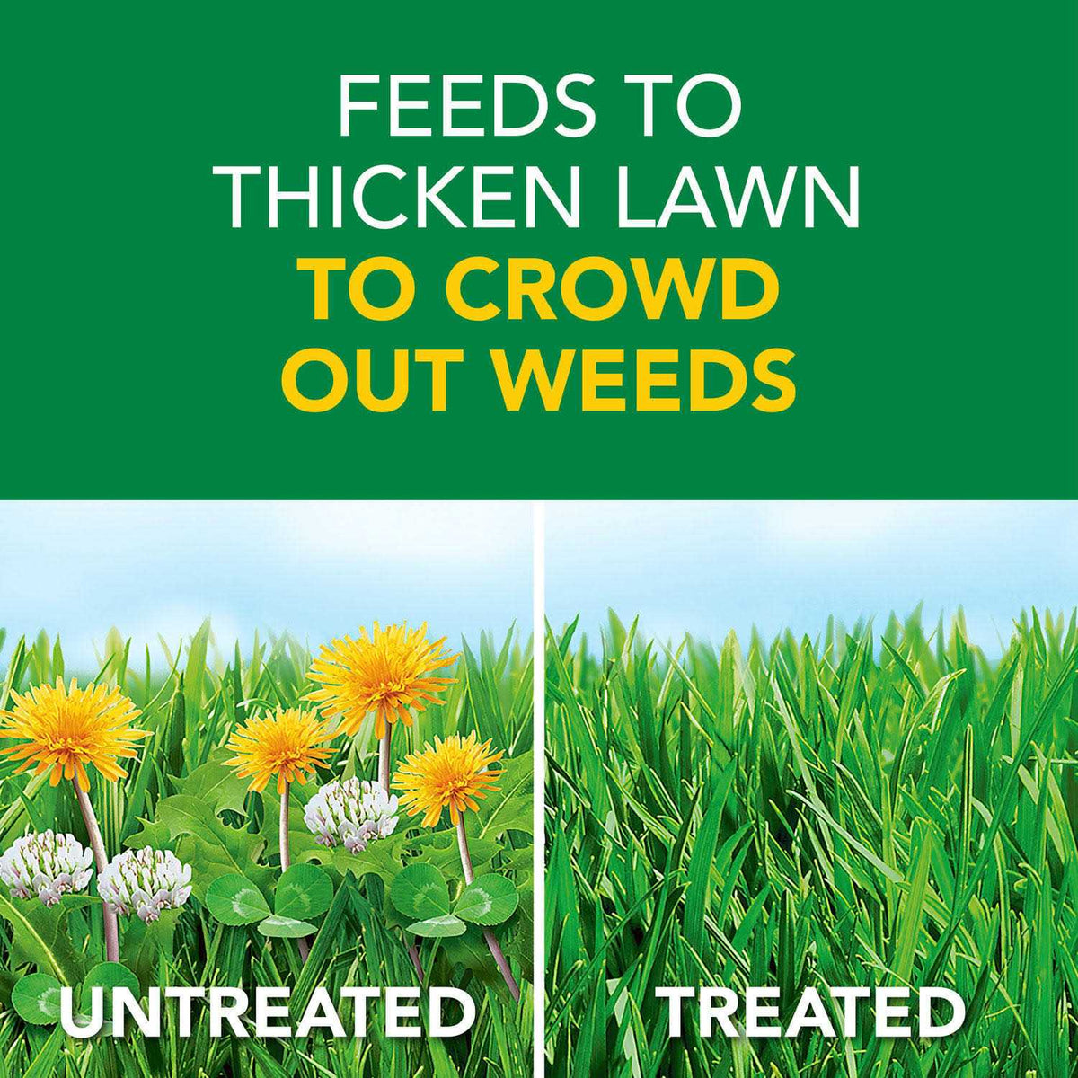 Scotts Turf Builder Weed & Feed5 Lawn Fertilizer And Weed Killer - 45.26 lb
