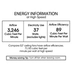 Warehouse Of Tiffany Micago 52 Lighted Ceiling Fan, Forged Black - CFL-8420REMO/FB