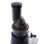 250W Electric Slow Juicer for Fruit and Vegetables - 45 RPM