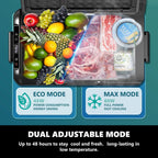 Simzlife Portable Car Refrigerator/Freezer, 19 QT (18 L), 12/24V DC and 110-240V AC, Black