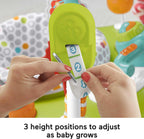 Fisher-Price Fitness Fun Folding Jumperoo Infant Activity Center With Lights & Music - HBM25