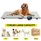 Digital Livestock Scale 1100 Lbs x 0.2 Lbs Stainless Steel Platform