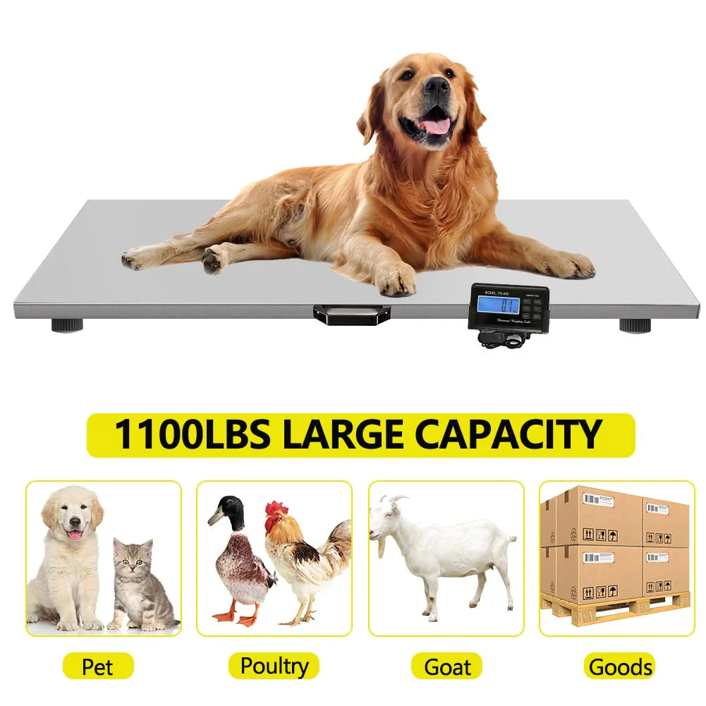 Digital Livestock Scale 1100 Lbs x 0.2 Lbs Stainless Steel Platform