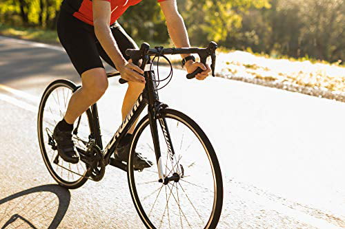 Schwinn Fastback Carbon Road Bike, Fastback Carbon 105, 57cm Extra Large Frame - Fastback Carbon 105