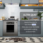 EKON Kitchen Expert 36 inch 900 CFM Convertible Insert Range Hood With Remote Control