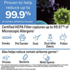 Honeywell HEPA Air Purifier With Permanent Washable Filter - 50250-S