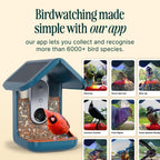 Birdbuddy PRO Solar Smart Bird Feeder With Camera, 5MP Photos, 2K HD Video, Blue - PRO
