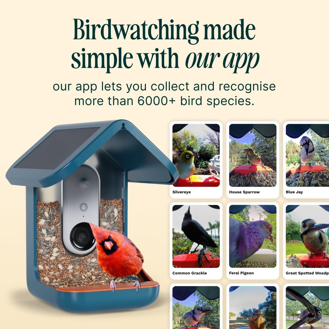 Birdbuddy PRO Solar Smart Bird Feeder With Camera, 5MP Photos, 2K HD Video, Blue - PRO