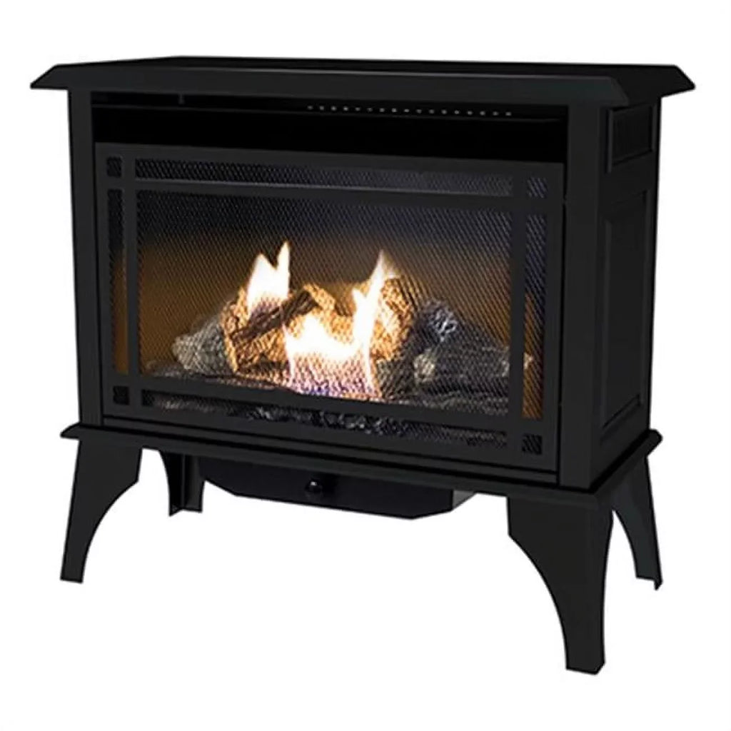 Comfort Glow Vent-Free Dual Fuel Gas Stove, Black, 30,000-BTU - GSD2846