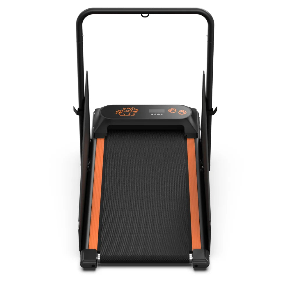 Dog Treadmill For Small And Medium Dogs - W215P235106